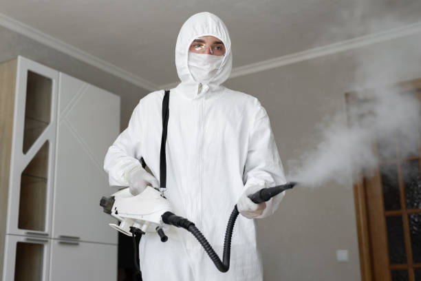 Why You Should Choose Our Mold Remediation Services in Sumiton, AL